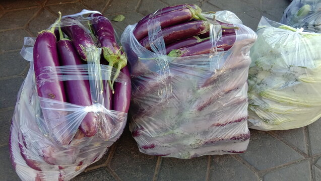 Fresh purple eggplants packed in plastic bags for sale at a traditional market. Healthy organic vegetables, local agriculture, harvest produce, food supply, and retail market concept.