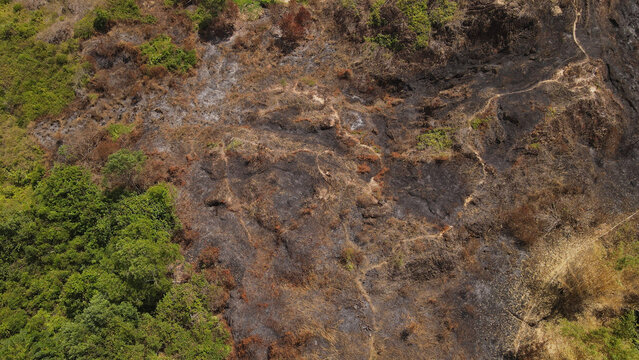 Aerial view of a burnt landscape showing charred ground, remnants of vegetation, and contrasting green forest patches in Papua, Indonesia.