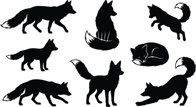 Wild fox silhouette vector set with walking, sitting, jumping, and sleeping poses for nature design