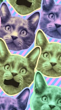 Seamless young vertical video of cartoon style cats with duotono colors. Stop motion minimal animal art with pastel colors halftone style background.