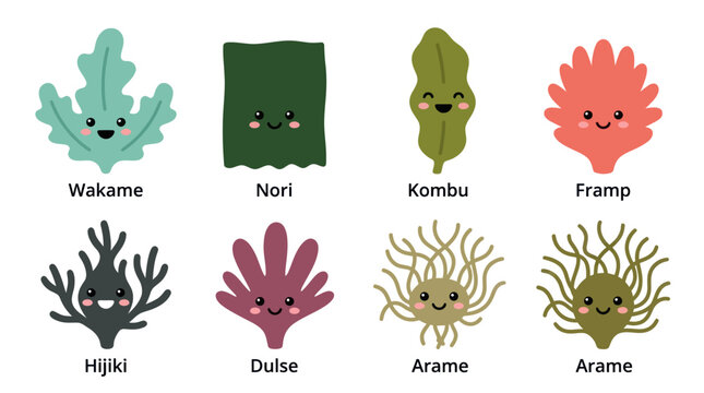 Assorted seaweed types with cute faces