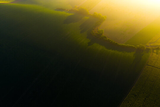 Aerial view of rolling green agricultural fields illuminated by warm golden hour sunlight with long shadows and a line of trees in Kyjov, South Moravian Region, Czechia.