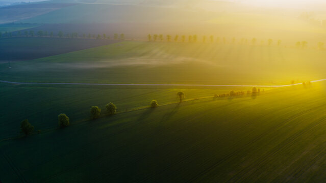 Aerial view of rolling green agricultural fields with rows of trees and morning mist illuminated by golden hour sunlight in Kyjov, South Moravian Region, Czechia.