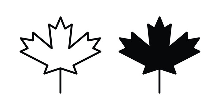 Maple leaf icon minimal illustration set