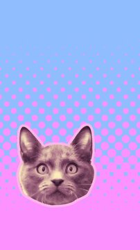 Seamless young vertical video of cartoon style cats with duotono colors isolated with copyspace. Stop motion minimal animal art halftone style background.