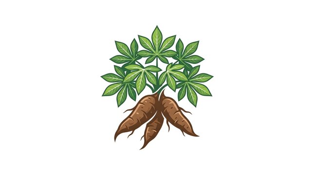 A stylized vector illustration of a cassava plant with green palmate leaves and brown tuberous roots, isolated on a clean white background