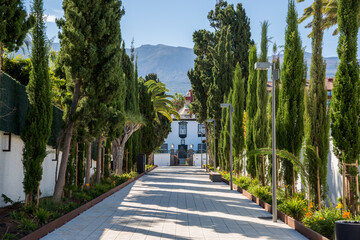 Edificio bianco in fondo a viale alberato con montagne alle spalle © errem