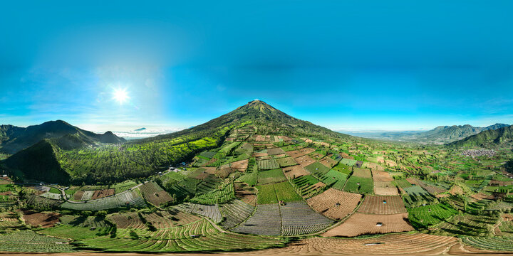 Aerial view of the lush green tea plantations at Tambi Tea Resort on the slopes of a mountain under a clear blue sky in Kecamatan Kejajar, Jawa Tengah, Indonesia.