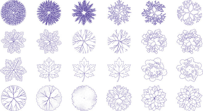 Set of Tree Top View Symbols for Architectural Landscape Plans Illustration