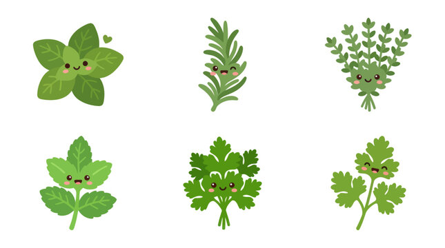 Cute herb illustrations with faces