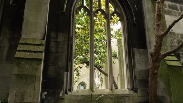 Abandoned church garden window ruins with overgrown trees