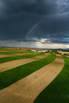 Aerial view of rolling agricultural fields with alternating green and brown strips under a dramatic dark storm sky with a rainbow in Nasedlovice, South Moravian Region, Czechia.