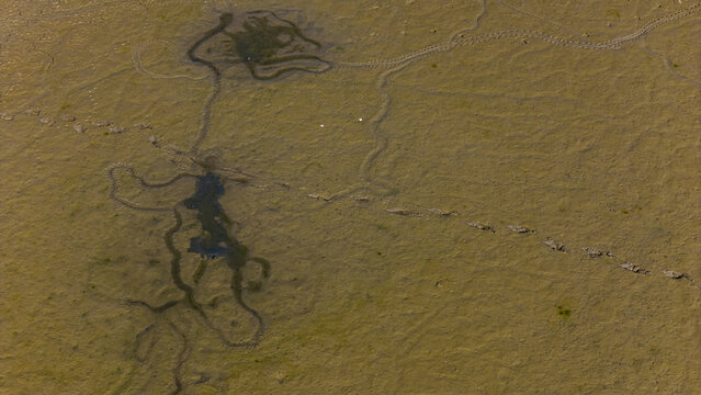 Aerial view of the dried-up lake bed of Cavuscugol featuring intricate winding patterns, cracked earth textures, and small patches of water, Cavuscugol, Konya, Turkiye.