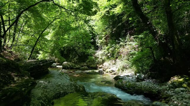Sunlit forest stream over smooth boulders 4k drone
