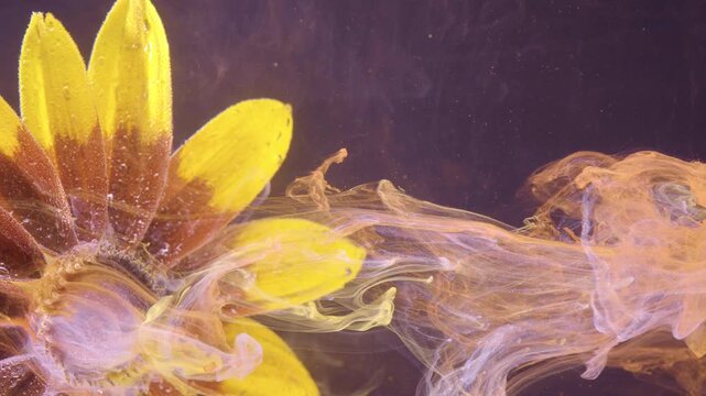 Yellow sunflower petals and flower center are swept by translucent pastel ink plumes flowing across scene, creating soft contrast, partial concealment, and dreamy color