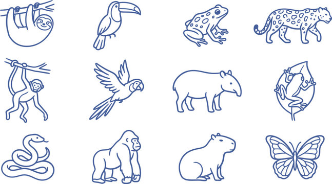 Tropical rainforest animals line art icons, set of 12 jungle wildlife vector illustrations, blue outline exotic fauna collection for nature branding