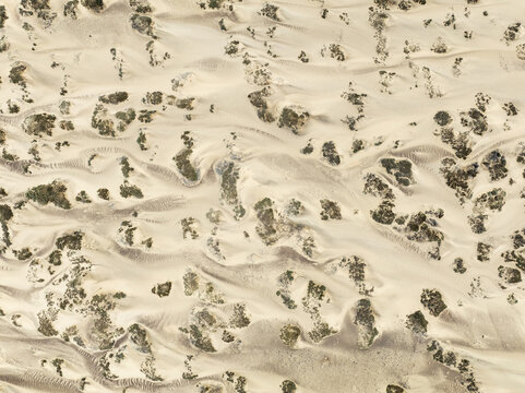 Aerial view of the Skeleton Coast featuring vast sand dunes interspersed with patches of desert vegetation in the Kunene Region, Namibia.