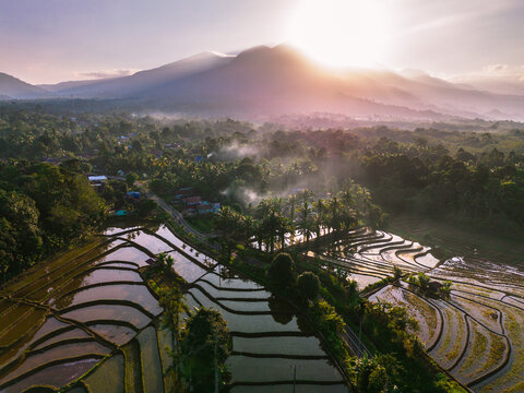 Aerial view of terraced rice fields reflecting the morning light with lush tropical vegetation and misty mountains in the background in Trawas, East Java, Indonesia.