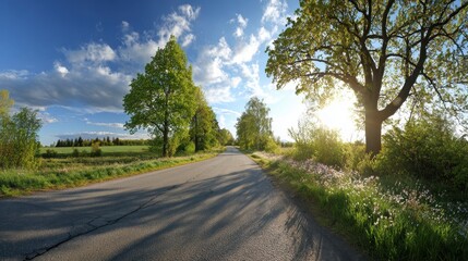Fototapeta premium Wide spring road scene: fresh leaves, blossoms, and bright daylight