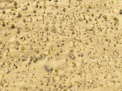 Aerial view of the Skeleton Coast desert landscape featuring golden sand dunes dotted with sparse desert vegetation in Kunene Region, Namibia.