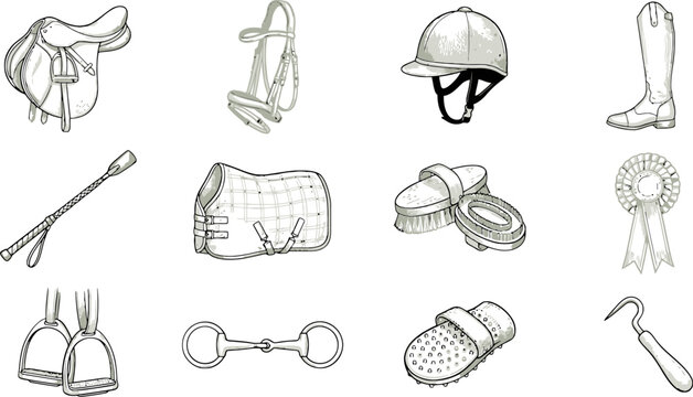 Equestrian equipment vector set, horse riding gear icons including saddle and bridle, professional horse care and racing accessories in line art style