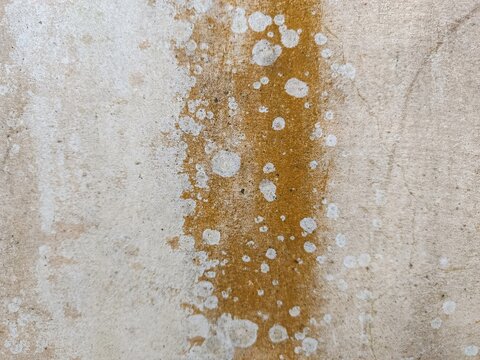 Close-up detail of a dirty weathered concrete wall texture with brown water stain marks, white mold spots, and cracked surface for background design