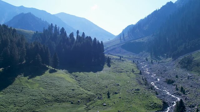 Cedar forest and rocky stream cross mountain meadows in Badwai Khwar, Upper Dir, Khyber Pakhtunkhwa, Pakistan