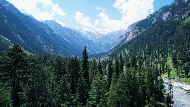 Dense conifer forest fills Kumrat Valley beneath the Hindu Kush mountains, Khyber Pakhtunkhwa, Pakistan