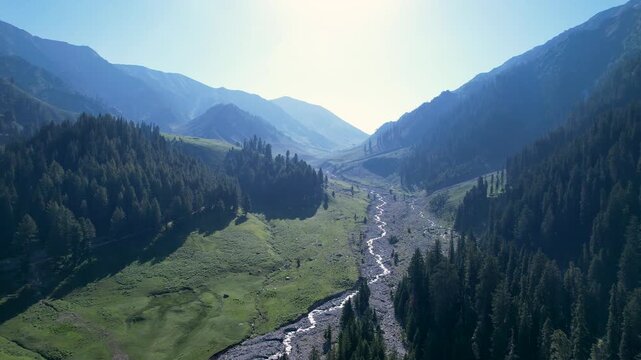 Winding stream flows through cedar forest and mountain meadows in Badwai Khwar, Upper Dir, Khyber Pakhtunkhwa, Pakistan