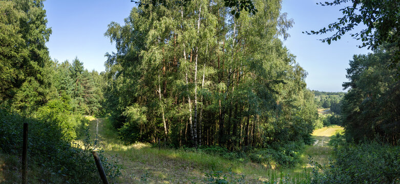 Ancient sand quarry of Kwintelooijen in Utrechtse Heuvelrug national park, Rhenen, Netherlands
