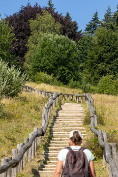 Unidentifiable woman walking up the stairs towards Kwintelooijen viewpont in Utrechtse Heuvelrug national park, Rhenen, Netherlands