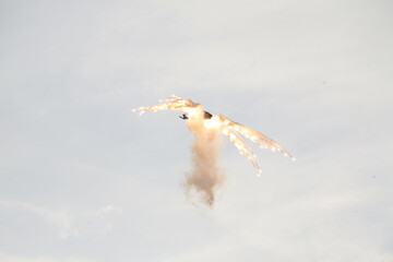 Airplanes © Adam Stopa
