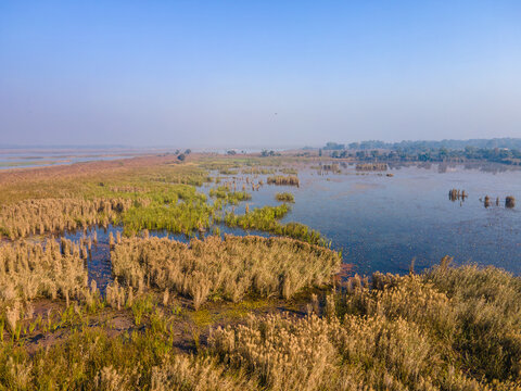 Aerial view of the wetlands and reeds surrounding the Rasul Barrage in Wazirabad, Punjab, Pakistan.