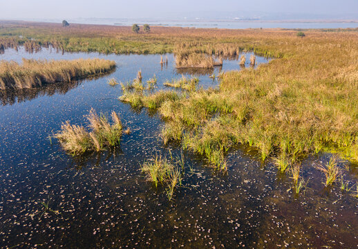 Aerial view of Rasul Barrage surrounded by wetlands with reeds, calm water, and distant hills in Wazirabad, Punjab, Pakistan.