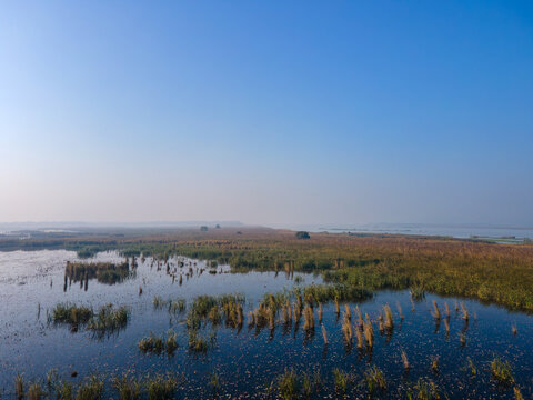 Aerial view of the Rasul Barrage area featuring marshy wetlands with reeds and calm water under a clear blue sky in Wazirabad, Punjab, Pakistan.