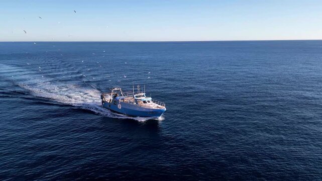 Aerial view of a blue fishing boat moving through the open sea with a visible wake and birds flying nearby in Calp, Valencian Community, Spain.