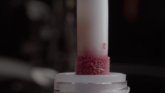 Macro close up of lip gloss applicator lifting from cosmetic container. Soft applicator emerges coated with glossy makeup product during beauty application