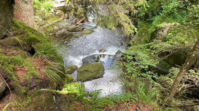High angle view of a crystal clear mountain stream and small waterfall flowing through a lush green forest in Retezat Mountains, Romania, nature and travel video, 4k, 60fps.