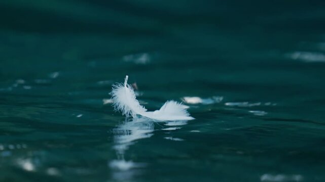 Close-up of white feather drifting across calm water, meditation, relaxation and poetic cinematic view.