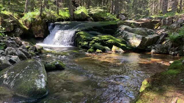 High angle view of a crystal clear mountain stream and small waterfall flowing through a lush green forest in Retezat Mountains, Romania, nature and travel video, 4k, 60fps.