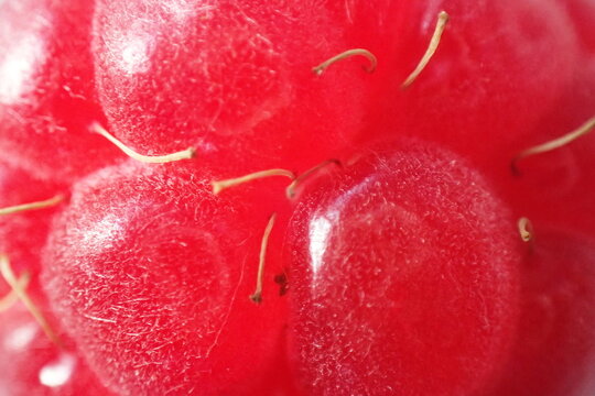 Crimson Raspberry Macro Surface Detail
