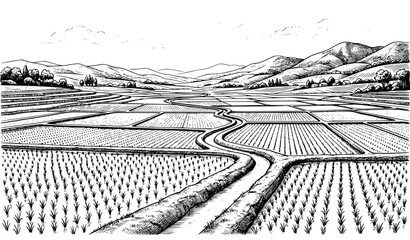 Obraz premium Farmland Landscape with Winding Road Vintage Sketch Illustration, Agricultural Field Engraving Vector