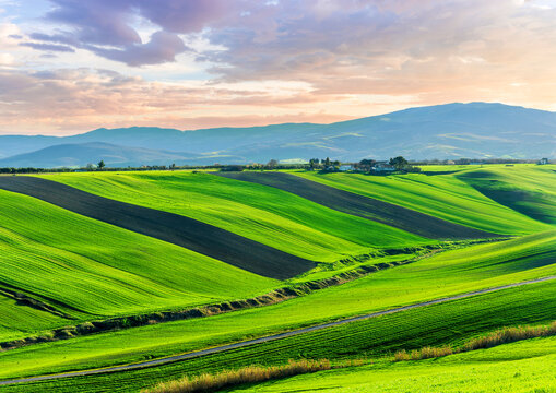 scenic green field with young salad grass on spring hills and beautiful mountains with nice evening sky on panoramic rural landscape