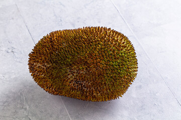 Whole jackfruit with spiky green rind on light gray textured background © Andrei Starostin
