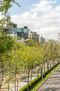 Wide bird's-eye view of tree-lined Madrid avenue splitting toward a central roundabout with statue and traffic