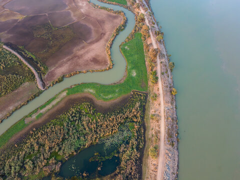 Aerial view of Qadirabad Head Works Bridge spanning the river, with lush green fields, winding water channels, and a dirt road along the riverbank in Wazirabad, Punjab, Pakistan.