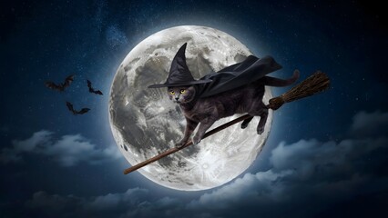 Fototapeta premium Cat in witch hat flying on a broomstick. Magical kitten soaring against a full moon.