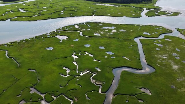 Narrow channels meander through a beautiful and extensive salt marsh in Pleasant Bay, Cape Cod. Marshes provide critical habitat for many birds, fish, and marine invertebrates to feed, mate, and nest.