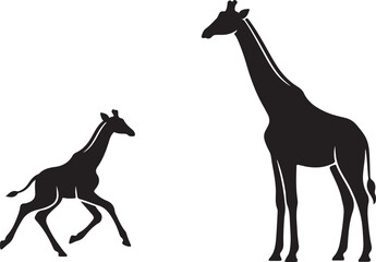 Fototapeta premium Black silhouette set of african giraffes standing and walking with wildlife silhouette standing
