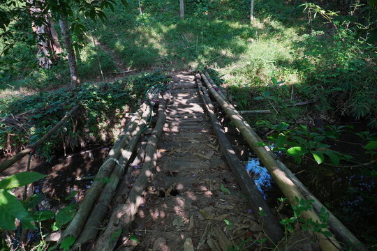 Traditional bridges are built using bamboo and other trees to connect village